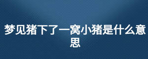 夢見豬下了一窩小豬是什么意思