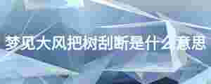 夢見大風把樹刮斷是什么意思