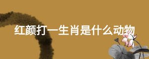紅顏打一生肖是什么動物