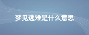 夢見逃難是什么意思