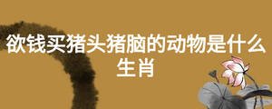 欲錢買豬頭豬腦的動物是什么生肖