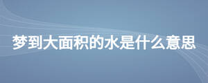 夢到大面積的水是什么意思