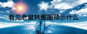 看見老鼠轉(zhuǎn)圈圈預(yù)示什么