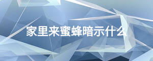 家里來蜜蜂暗示什么