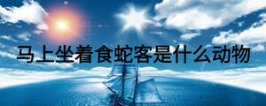 馬上坐著食蛇客是什么動物
