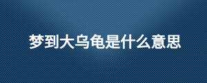夢(mèng)到大烏龜是什么意思