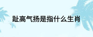 趾高氣揚(yáng)是指什么生肖