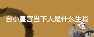 自小皇宮當下人是什么生肖