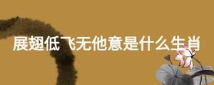 展翅低飛無他意是什么生肖
