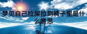夢見自己拉屎拉到褲子里是什么意思