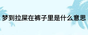 夢到拉屎在褲子里是什么意思
