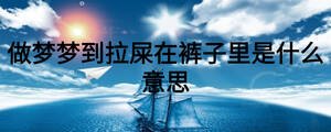 做夢夢到拉屎在褲子里是什么意思
