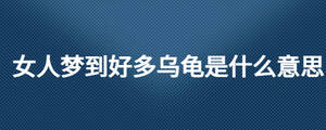 女人夢到好多烏龜是什么意思