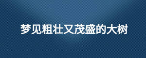 夢(mèng)見(jiàn)粗壯又茂盛的大樹(shù)