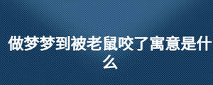 做夢夢到被老鼠咬了寓意是什么