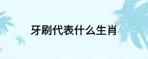 牙刷代表什么生肖