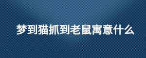 夢到貓抓到老鼠寓意什么