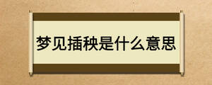夢(mèng)見(jiàn)插秧是什么意思