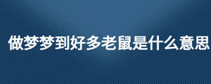 做夢夢到好多老鼠是什么意思