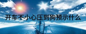 開車不小心壓到狗預示什么