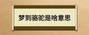 夢到駱駝是啥意思