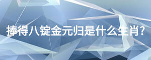 捧得八錠金元?dú)w是什么生肖?