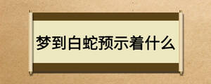 夢到白蛇預示著什么