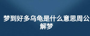 夢(mèng)到好多烏龜是什么意思周公解夢(mèng)