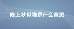 晚上夢見貓是什么意思