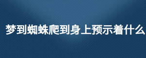 夢到蜘蛛爬到身上預示著什么