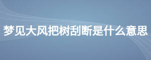 夢見大風把樹刮斷是什么意思