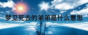 夢見死去的弟弟是什么意思