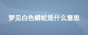 夢見白色蟒蛇是什么意思