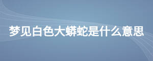 夢(mèng)見白色大蟒蛇是什么意思