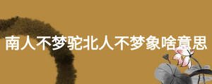 南人不夢駝北人不夢象啥意思