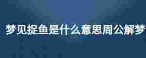 夢見捉魚是什么意思周公解夢