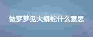 做夢(mèng)夢(mèng)見大蟒蛇什么意思