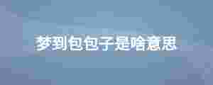 夢到包包子是啥意思