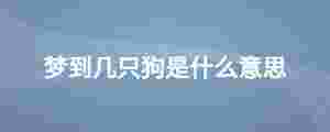 夢到幾只狗是什么意思