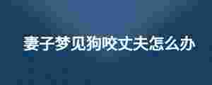 妻子夢見狗咬丈夫怎么辦