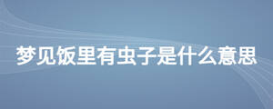 夢(mèng)見(jiàn)飯里有蟲(chóng)子是什么意思