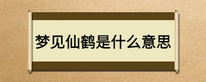 夢見仙鶴是什么意思