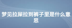 夢(mèng)見拉屎拉到褲子里是什么意思