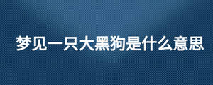 夢見一只大黑狗是什么意思