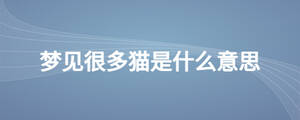 夢見很多貓是什么意思