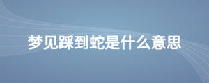 夢見踩到蛇是什么意思