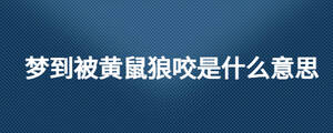 夢到被黃鼠狼咬是什么意思