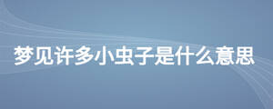 夢(mèng)見許多小蟲子是什么意思