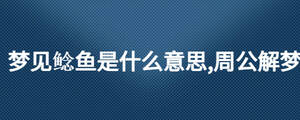 夢見鯰魚是什么意思,周公解夢
