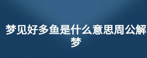 夢見好多魚是什么意思周公解夢